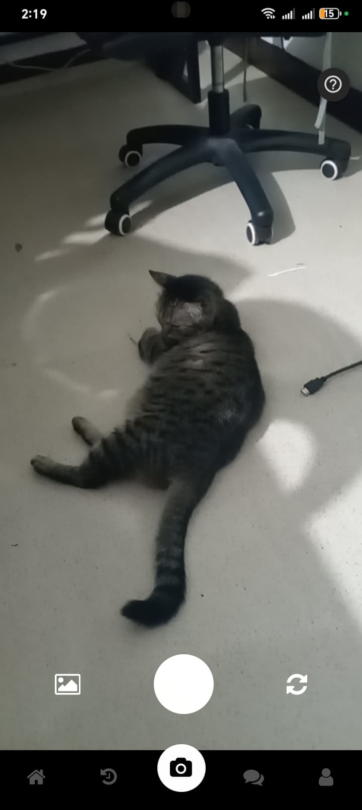 PawScan gallery image 4