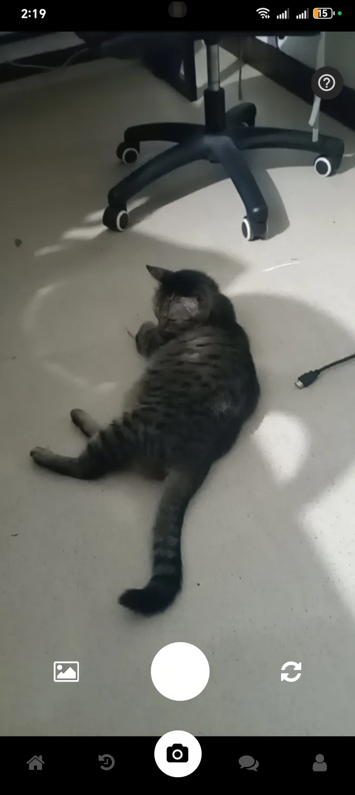 PawScan gallery image 4